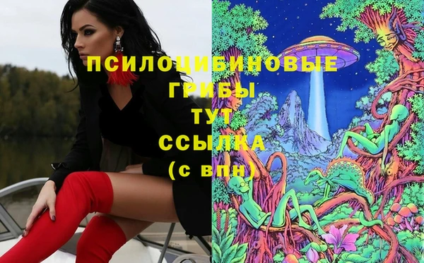 Альфа ПВП Абаза
